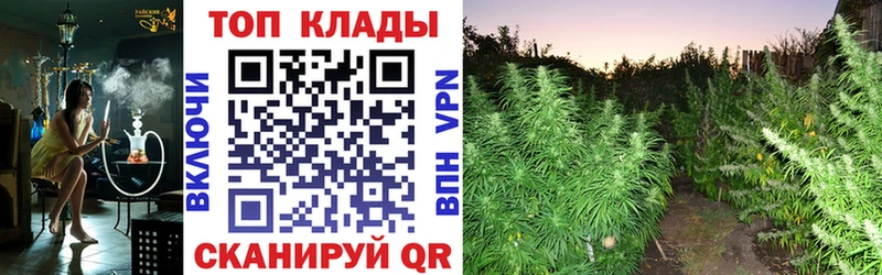 Купить Канаш COCAIN  Амфетамин  Гашиш  МЕФ 
