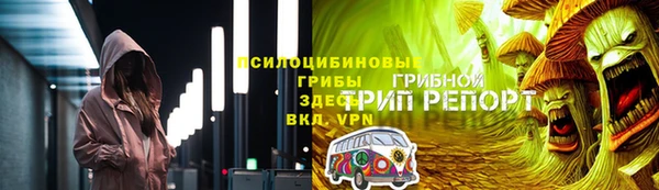 бошки Аркадак