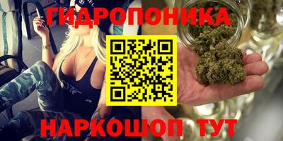 мяу мяу мука Краснокаменск