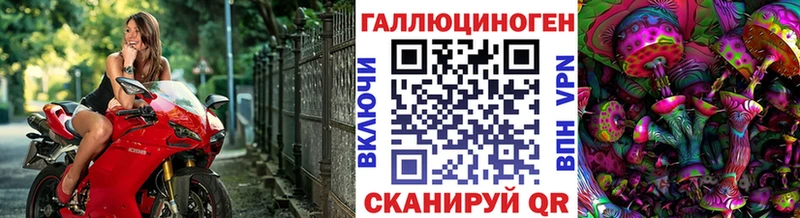 хочу   Канаш  Псилоцибиновые грибы Cubensis 