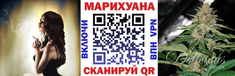 Конопля сатива Канаш
